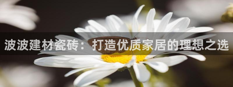 杏鑫注册登录网址是多少
