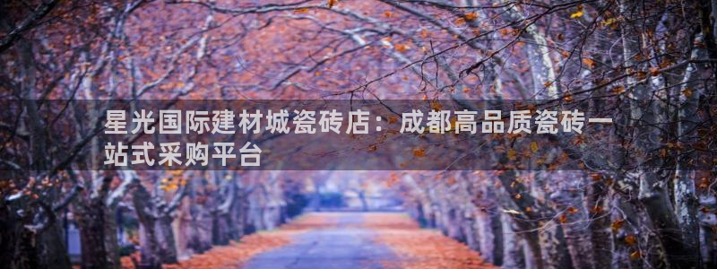 杏鑫平台注册地址在哪里
