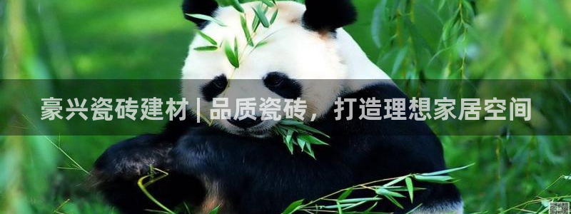 杏鑫平台在线注册