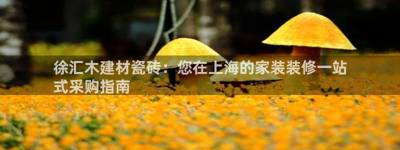 杏鑫平台代理注册多少钱啊