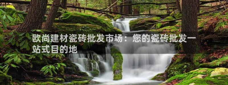 杏鑫娱乐多少年了