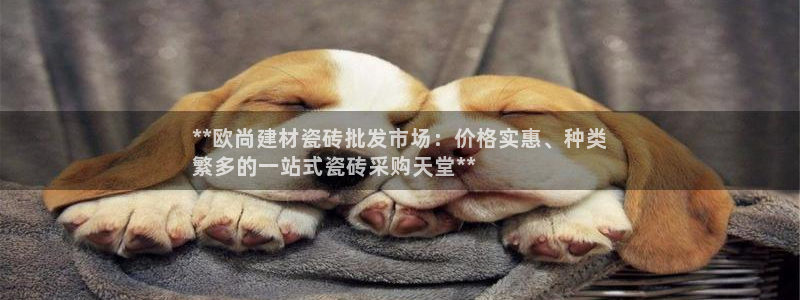 杏鑫娱乐官方网站客户端登录