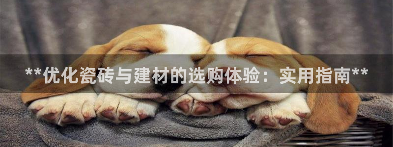 杏鑫平台下载安装