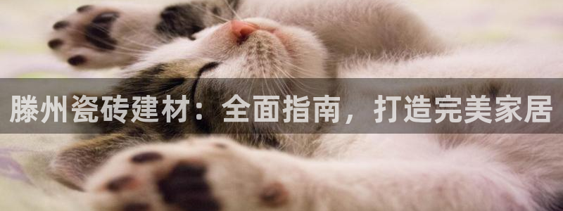 杏鑫平台注册入口