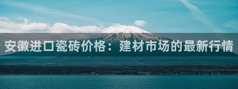 杏鑫招商总代