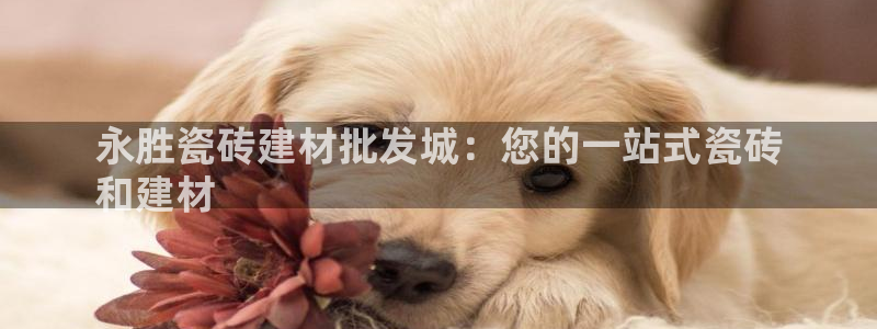 杏鑫官网注册账号是什么意思