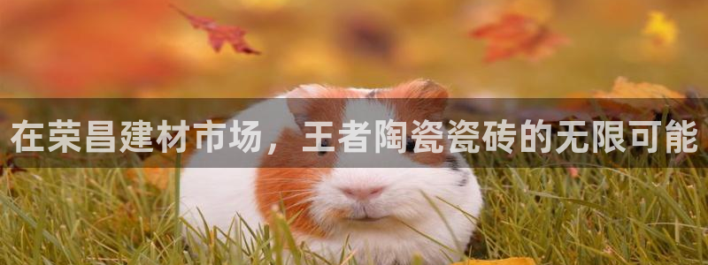 杏鑫娱乐负责人