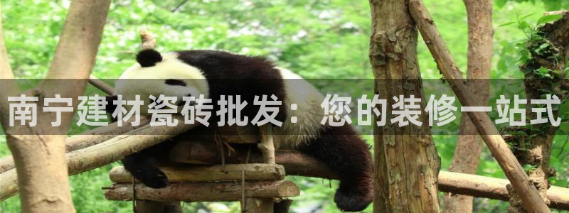 杏鑫平台正规吗是真的吗