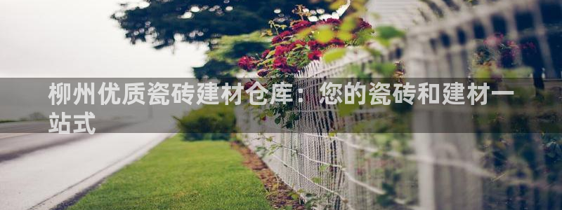 杏鑫平台是黑平台吗知乎