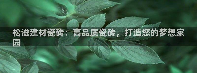 杏鑫平台注册入口