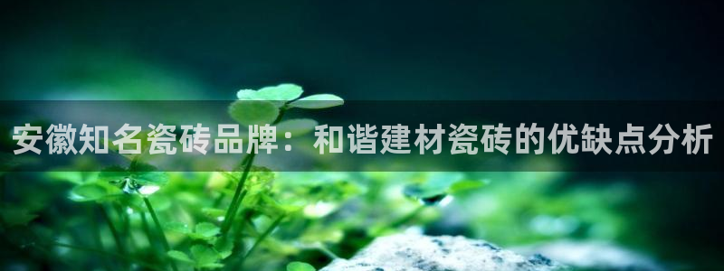 杏鑫娱乐负责人