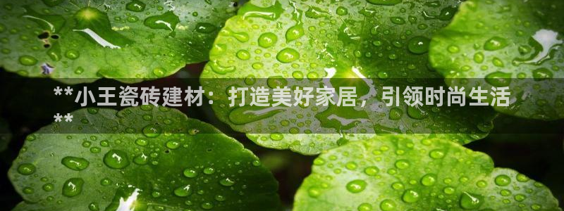 杏鑫平台提供
