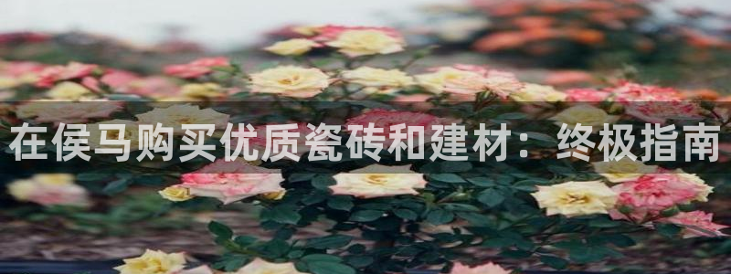杏鑫娱乐平台测速怎么样