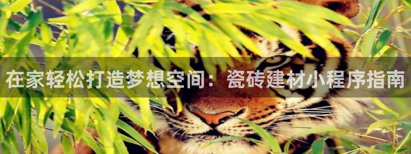 杏鑫平台注册入口在哪里找