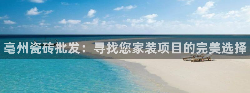 杏鑫手机客户端