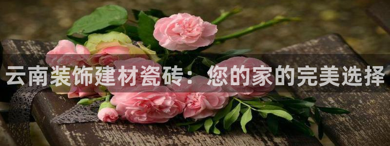 杏鑫注册登录平台是什么