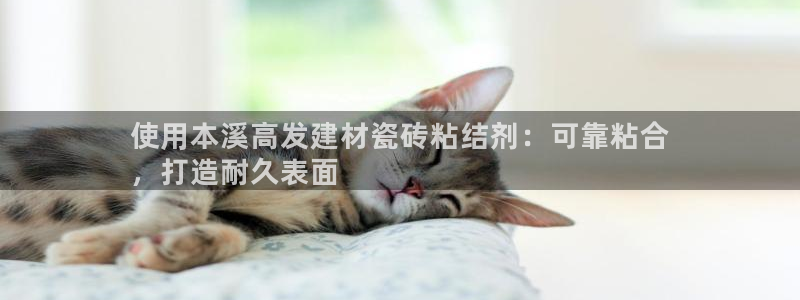 杏鑫官网最新信息新闻