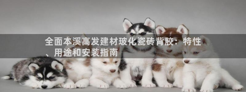 杏鑫平台代理注册登录不了怎么办呀