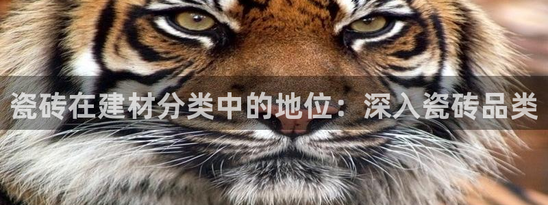 杏鑫官网注册账号怎么注册不了