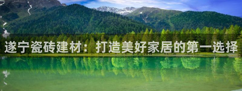 杏鑫娱乐开发团队
