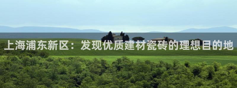杏鑫娱乐怎么下