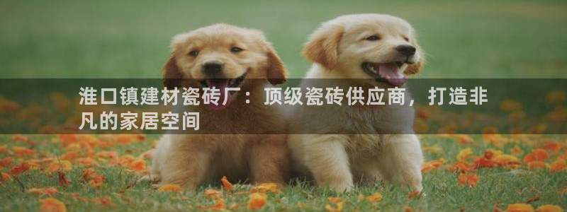 杏鑫平台代理怎么做的