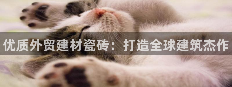 杏鑫平台招商