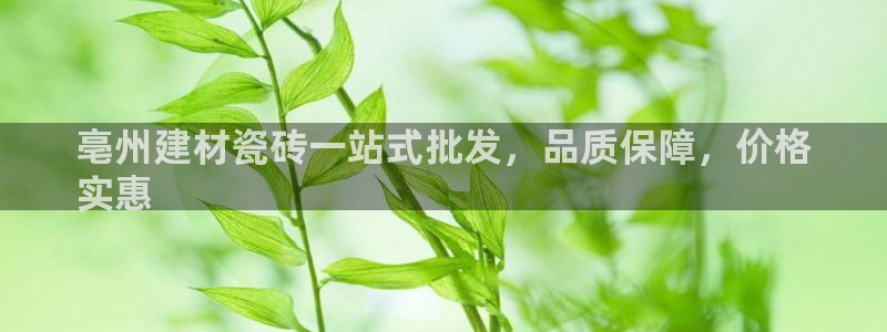 杏鑫平台招商电话号码