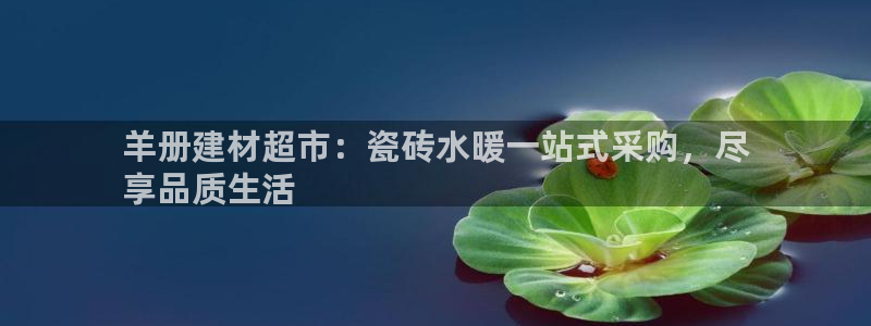 杏鑫注册平台官方网站是什么