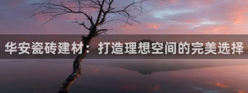 杏鑫招商总代