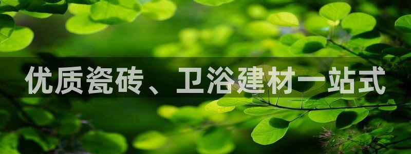 杏鑫招商总代