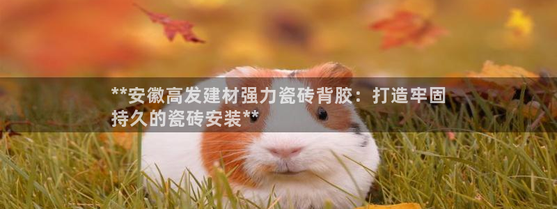 杏鑫娱乐平台登录注册网站