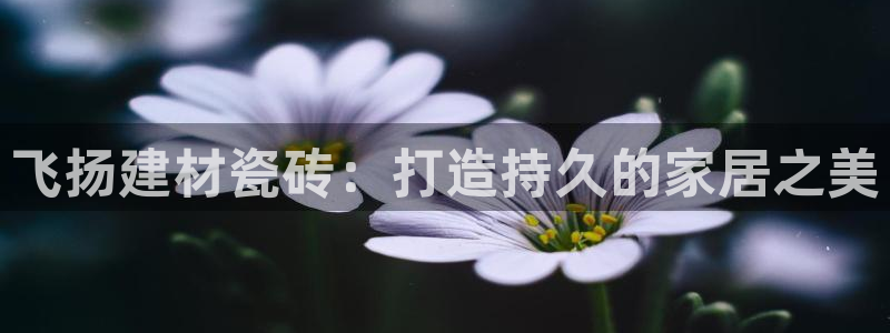 杏鑫娱乐是合法的吗?