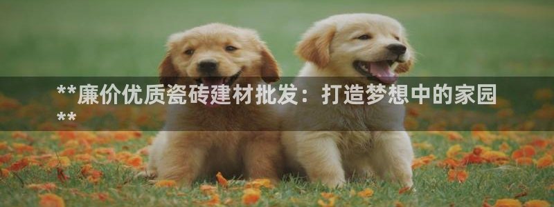 杏鑫官网注册账号怎么注册不了