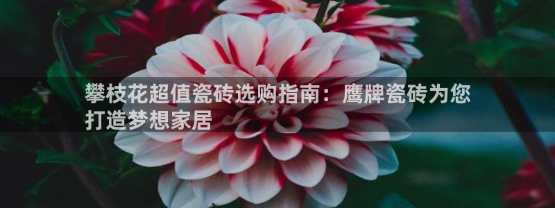 杏鑫平台野马联盟怎么样