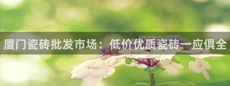 杏鑫3主管