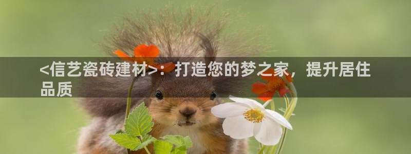 杏鑫官网注册账号怎么注册的