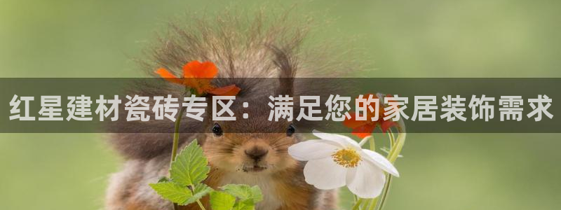 杏鑫平台怎么样黑钱吗安全吗