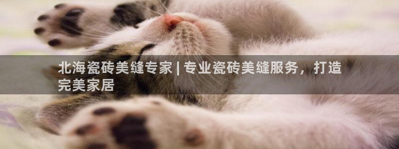 杏鑫官网