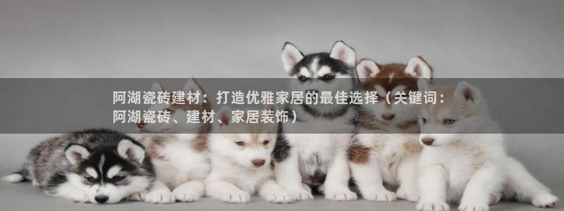 杏鑫平台登陆