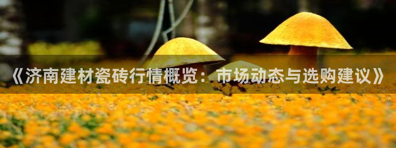杏鑫平台下载安装