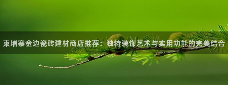 杏鑫平台代理注册流程图