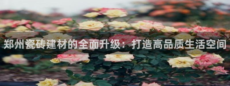杏鑫娱乐是合法的吗?