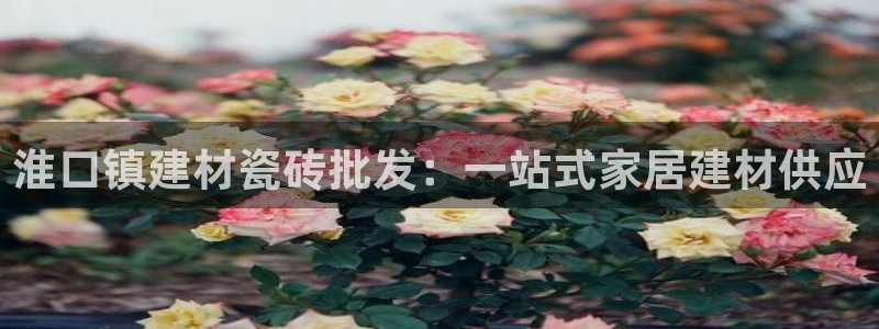 杏鑫娱乐官网下载