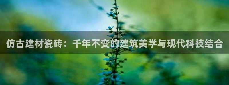 杏鑫平台列7O777