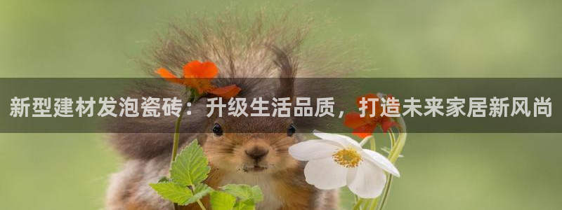 杏鑫平台下载安装