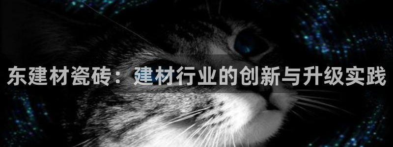 杏鑫官网最新信息
