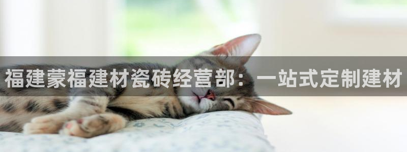 杏鑫手机客户端怎么下载