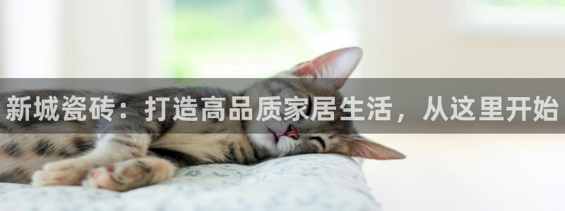 杏鑫平台是黑平台吗知乎