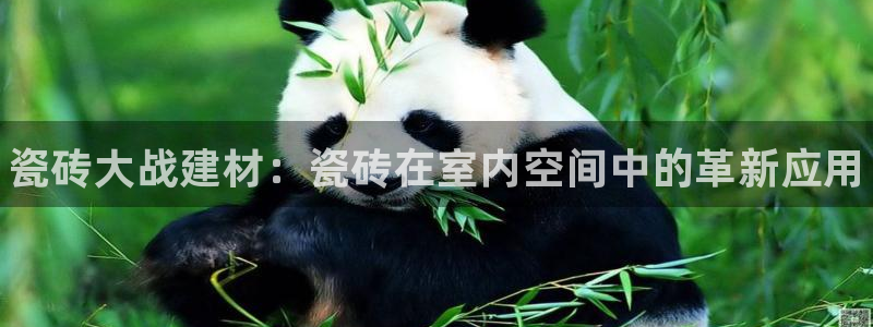 杏鑫平台注册网址